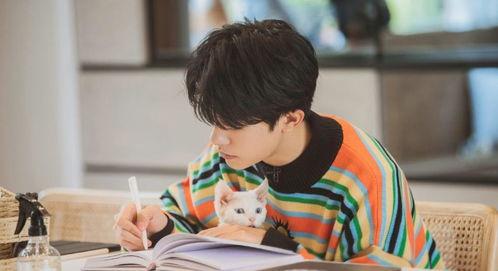 2.6d视频,技术革新与视觉体验深度解析