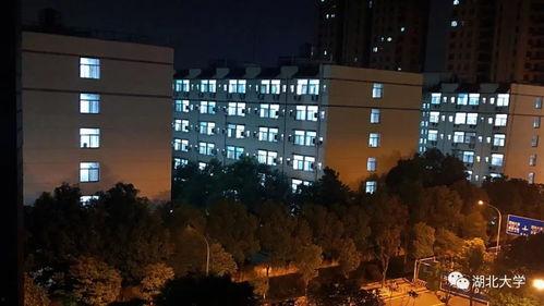 av云盘种子搜索,海量资源一网打尽