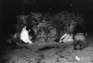 偷窥男女日本在线播放,日本在线偷窥视频的隐秘世界