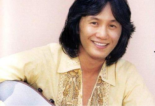 香港歌手明星,香港歌手明星风采掠影