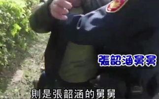 舅舅剧情爆料视频,揭秘舅舅背后的惊人真相与剧情转折