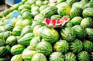 冏妈免费观看西瓜