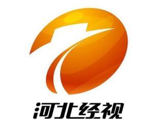 河北经济频道在线观看,河北经济频道在线观看全方位解析