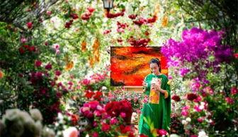 明星后花园,揭秘娱乐圈的隐秘角落