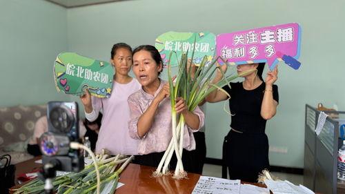 农村直播免费观看,免费观看，共享田园风光
