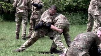 免费观看特种部队,免费观看背后的真实故事