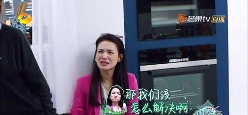 中餐厅2视频,美食之旅，文化碰撞，温馨瞬间