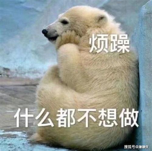 吃瓜群众图片动态图